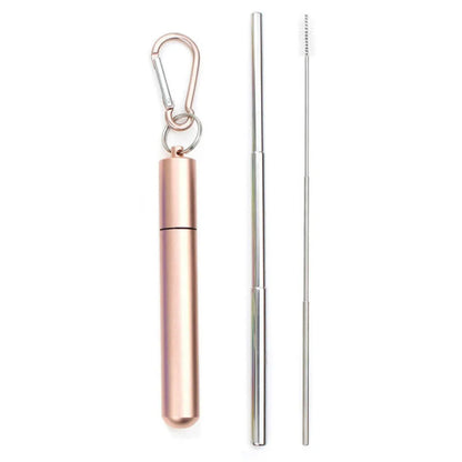 Portable Telescopic Straw Set